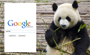 Google Panda bevorzugt hochwertigen Content